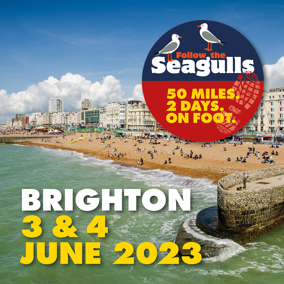 Image text reads: Follow the Seagulls Brighton. 3 and 4 June 2023. Image is of view of Brighton.